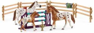 22728-46708-schleich-set-appalossti-kone-a-treninkove-prislusenstvi